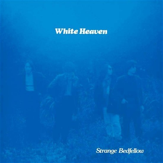 Cover for White Heaven · Strange Bedfellow (LP) (2023)