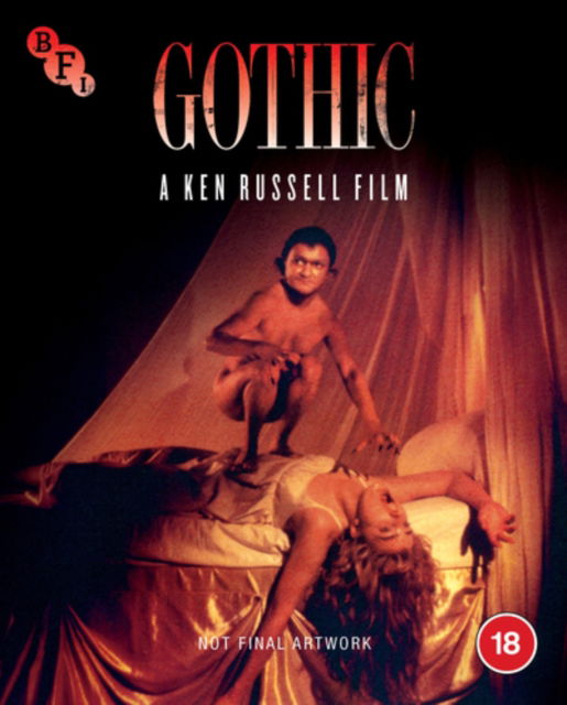 Cover for Gothic Bluray · Gothic (Blu-Ray) (2023)