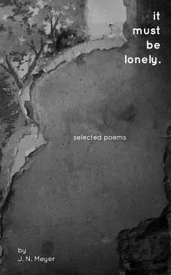 Cover for J N Meyer · It Must Be Lonely (Pocketbok) (2019)
