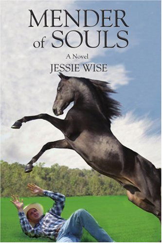 Cover for Jessie Wise · Mender of Souls (Paperback Book) (2006)