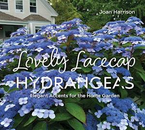 Cover for Joan Harrison · Lovely Lacecap Hydrangeas: Elegant Accents for the Home Garden (Hardcover Book) (2025)