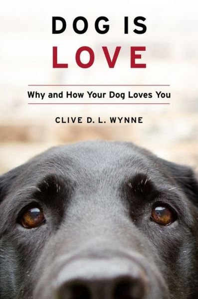 Cover for Clive D. L. Wynne · Dog Is Love: Why and How Your Dog Loves You (Hardcover Book) (2019)