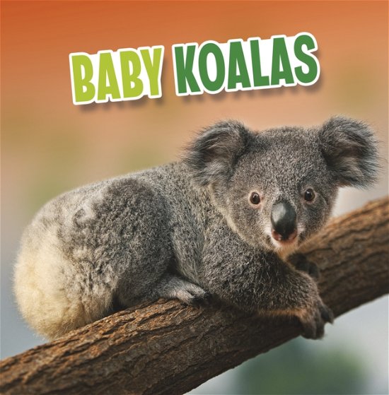 Cover for Martha E. H. Rustad · Baby Koalas - Baby Animals (Paperback Book) (2023)