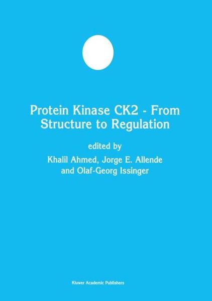 Cover for Khalil Ahmed · Protein Kinase Ck2 - from Structure to Regulation - Developments in Molecular and Cellular Biochemistry (Paperback Bog) [Softcover Reprint of the Original 1st Ed. 2001 edition] (2013)
