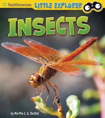 Insects (Little Scientist) - Martha E. H. Rustad - Books - Capstone Press - 9781491407967 - July 1, 2014