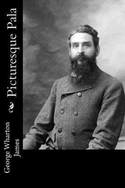 Cover for George Wharton James · Picturesque Pala (Paperback Bog) (2016)