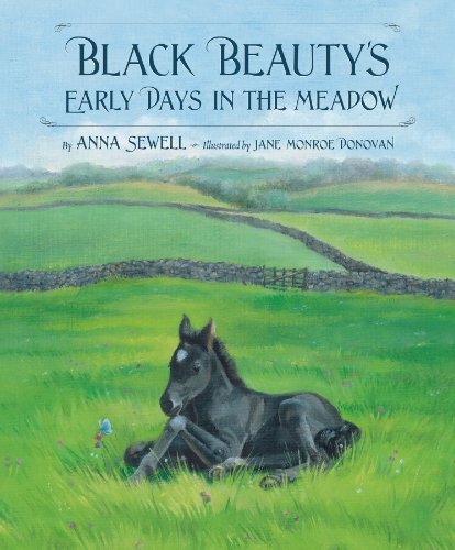 Cover for Anna Sewell · Black Beauty's Early Days in the Meadow (Classic Picture Books) (Gebundenes Buch) [First edition] (2006)