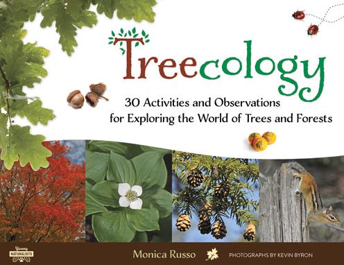 Cover for Monica Russo · Treecology: 30 Activities and Observations for Exploring the World of Trees and Forests - Young Naturalists (Paperback Book) (2016)