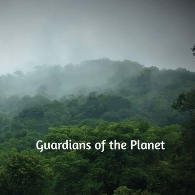 Cover for Avaneesh Patil · Guardians of the planet (Paperback Book) (2021)