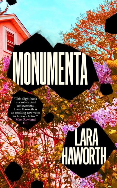 Cover for Lara Haworth · Monumenta (Hardcover Book) [Main edition] (2024)