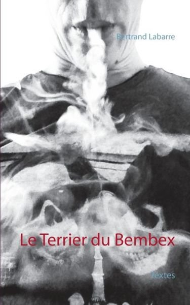Cover for Labarre · Le Terrier du Bembex (Book) (2016)