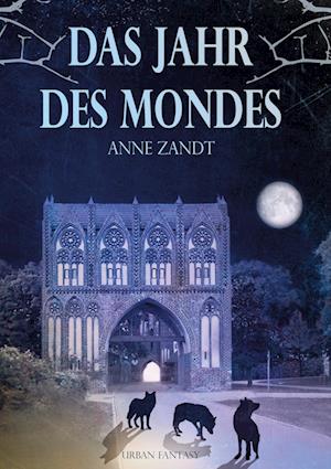 Cover for Anne Zandt · Das Jahr des Mondes (Book) (2023)