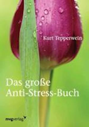 Cover for Kurt Tepperwein · Das große Anti-Stress-Buch (Paperback Book) (2006)