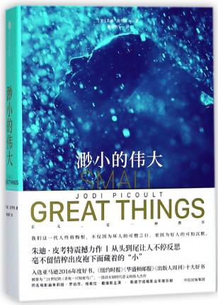 Small Great Things - Jodi Picoult - Książki - Zhong Xin Chu Ban She/Tsai Fong Books - 9787508686967 - 1 czerwca 2018