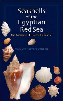 Cover for Mary Lyn Rusmore-Villaume · Seashells of the Egyptian Red Sea: The Illustrated Handbook (Hardcover Book) (2008)