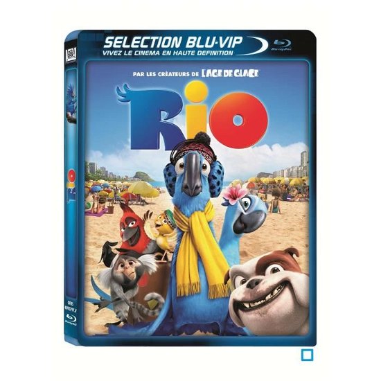 Cover for Rio · Les aventures (DVD) (2014)