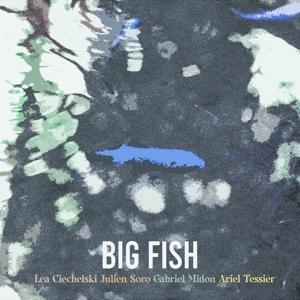 Cover for Big Fish (CD) (2024)