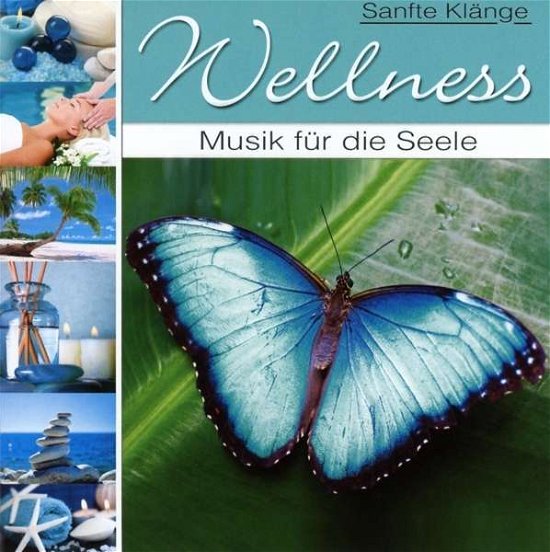 Cover for Wellness · Wellness - Musik Fur Die Seele (CD)