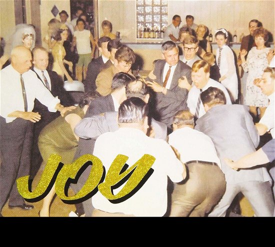 Joy As An Act Of Resistance - Idles - Musik - ULTRAVYBE - 4526180502968 - 11. december 2019