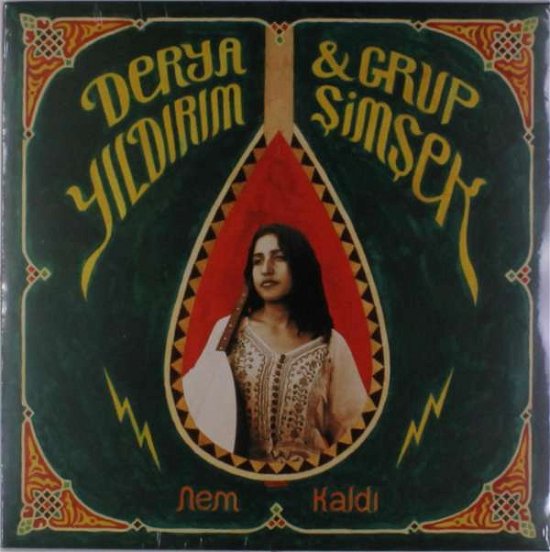 Cover for Derya Yildirim · Nem Kaldi (LP) (2017)