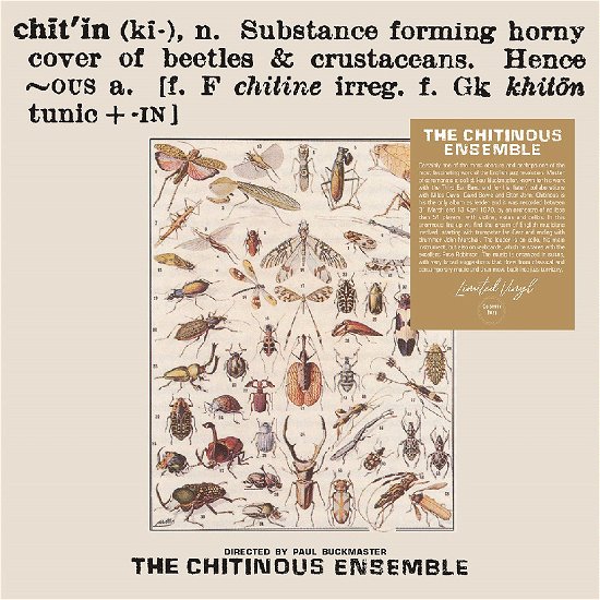 Cover for Chitinous Ensemble · Chitinous (LP) (2024)