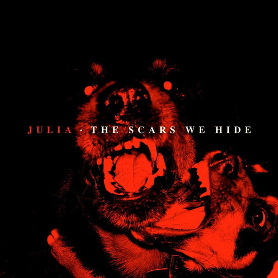 The Scars We Hide - Julia - Music - VLSTOCK - 9004245500968 - 