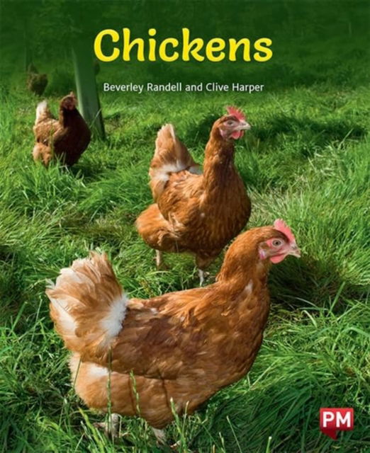 Cover for Beverley Randell · Chickens (Paperback Book)