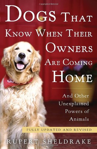 Cover for Rupert Sheldrake · Dogs That Know when Their Owners Are Coming Home: Fully Updated and Revised (Paperback Bog) [Upd Rev edition] (2011)