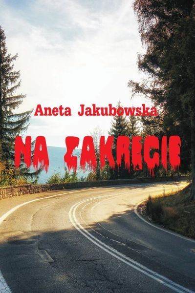 Cover for Aneta Jakubowska · Na Zakrecie (Paperback Book) (2019)