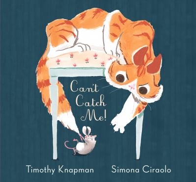 Cover for Timothy Knapman · Can't catch me! (Book) [First U.S. edition. edition] (2017)