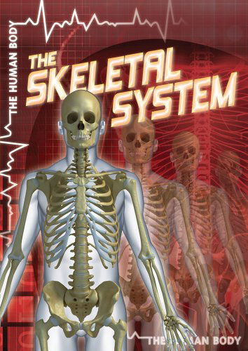 Cover for Greg Roza · The Skeletal System (Human Body (Gareth Stevens)) (Hardcover Book) (2012)