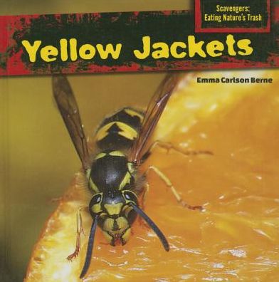 Cover for Emma Carlson Berne · Yellow Jackets (Hardcover Book) (2014)