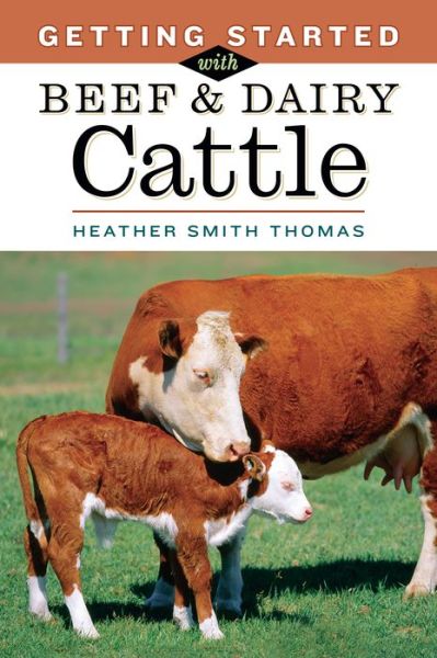 Cover for Heather Smith Thomas · Getting Started with Beef &amp; Dairy Cattle (Paperback Book) (2005)