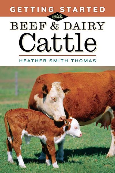 Getting Started with Beef & Dairy Cattle - Heather Smith Thomas - Books - Workman Publishing - 9781580175968 - July 1, 2005