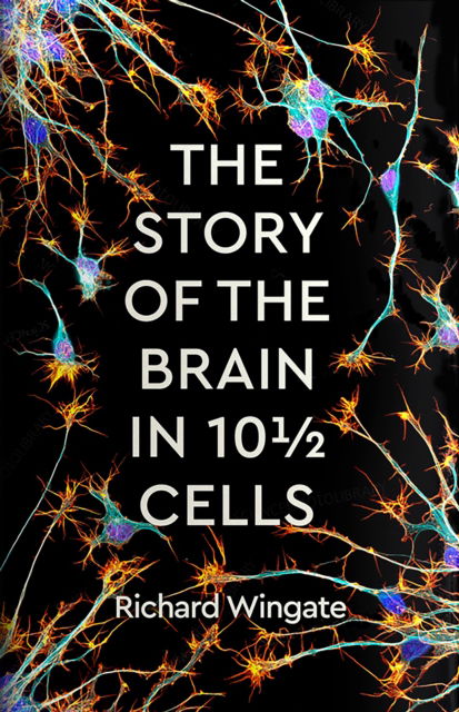 Cover for Richard Wingate · The Story of the Brain in 10½ Cells (Hardcover Book) [Main edition] (2023)