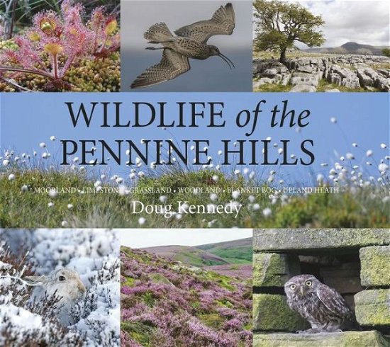 Cover for Doug Kennedy · Wildlife of the Pennine Hills: Moorland : Limestone : Grassland : Woodland : Blanket Bog : Upland Heath (Hardcover Book) (2019)