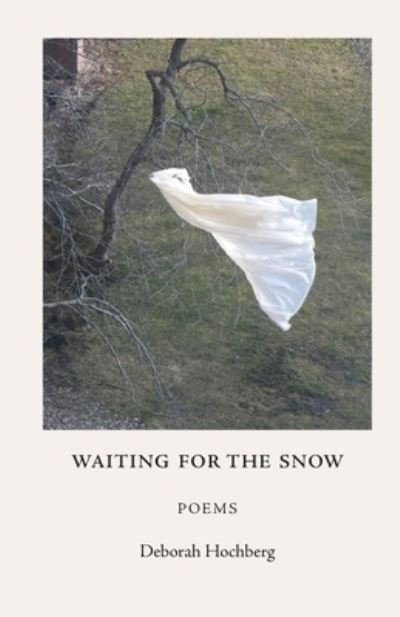 Cover for Deborah Hochberg · Waiting for the Snow (Paperback Book) (2021)