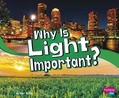 Why Is Light Important? - Mari Schuh - Books - PEBBLE BOOKS - 9781977108968 - August 1, 2019