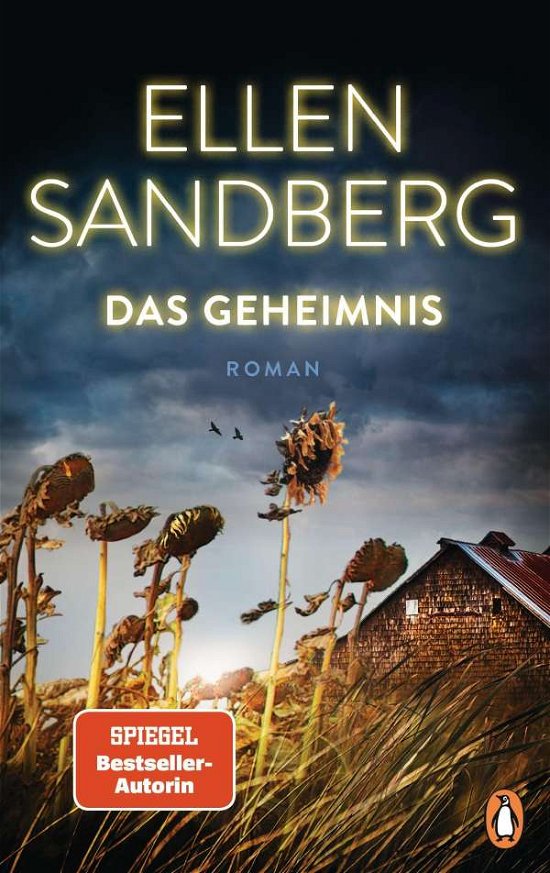 Cover for Ellen Sandberg · Das Geheimnis (Hardcover Book) (2021)