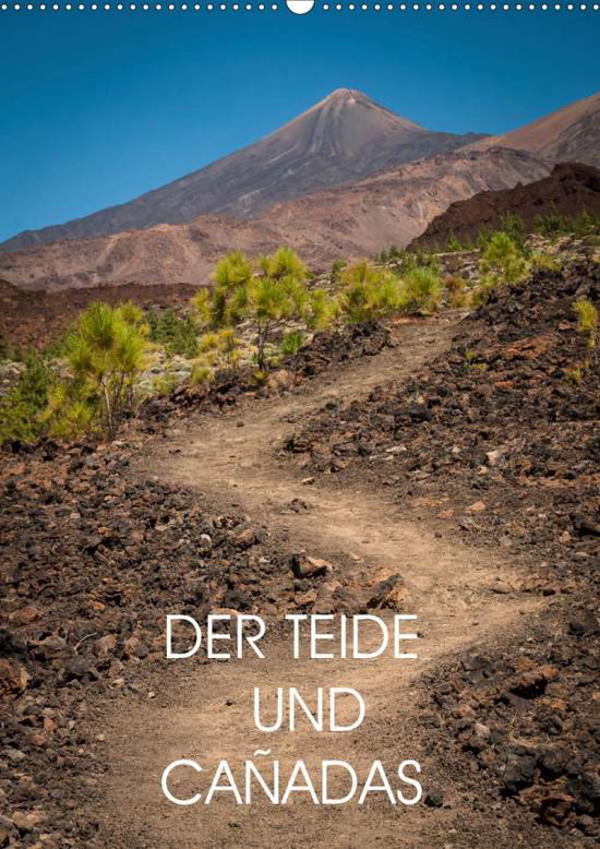 Cover for Rosenberg · Teide und Cañadas (Wandkalend (Book)