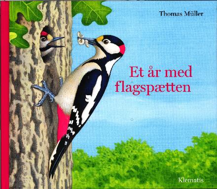 Cover for Thomas Müller · Et år med flagspætten (Bound Book) [1st edition] (2016)