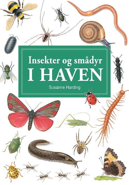 Cover for Susanne Harding · Spiralbogsserien: Insekter og andre smådyr i haven - display med 10 stk (Spiral Book) [1º edição] (2022)