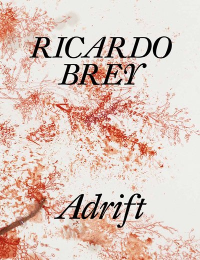 Ricardo Brey: Adrift - Arie Hartog - Books - BAI NV - 9789089319968 - January 13, 2020