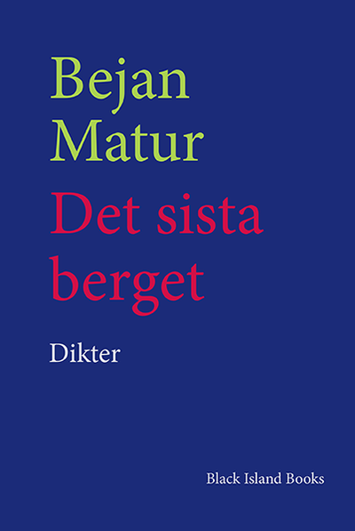 Cover for Bejan Matur · Det sista berget (Book) (2017)