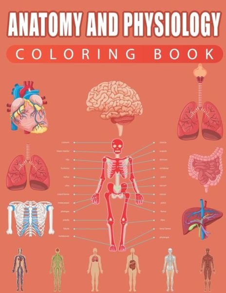 Book　Thomas　·　Anatomy　P　Book)　Physiology　Coloring　Saner　(2020)　and　(Paperback