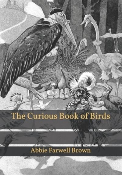 Cover for Abbie Farwell Brown · The Curious Book of Birds (Paperback Book) (2021)