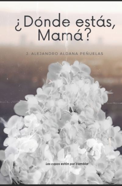 Cover for J Alejandro Aldana Penuelas · ?Donde estas, Mama? (Paperback Book) (2020)