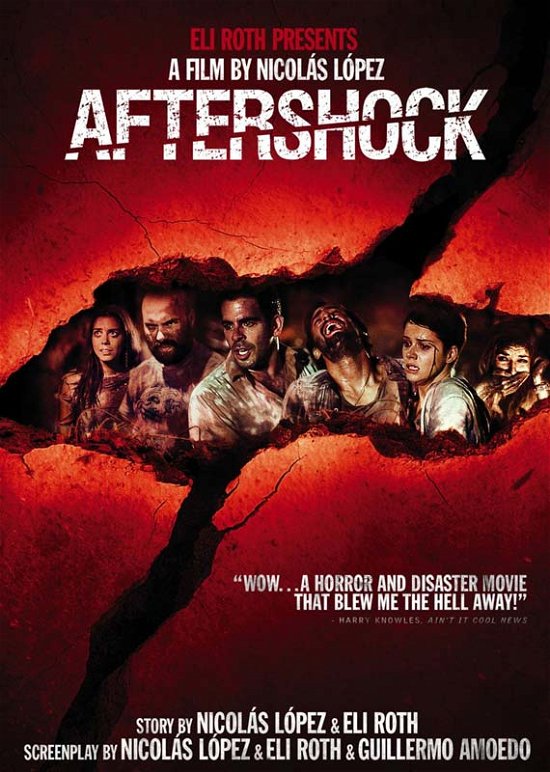 Cover for Aftershock (DVD) (2013)