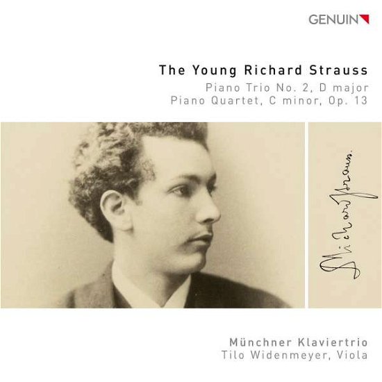 Cover for Strauss / Klaviertrio / Widenmeyer · Young Richard Strauss (CD) (2018)