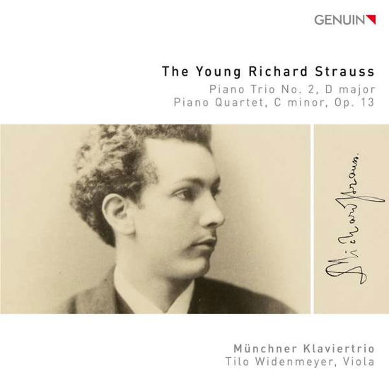 Young Richard Strauss - Strauss / Klaviertrio / Widenmeyer - Música - GEN - 4260036254969 - 2 de febrero de 2018